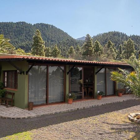 Apartamento Kiril El Paso Eksteriør billede